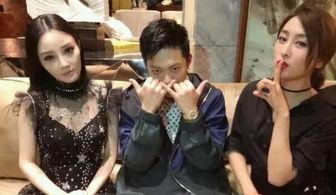 吃瓜鹅娱乐圈完整版,揭秘明星幕后故事，带你领略娱乐圈风云变幻