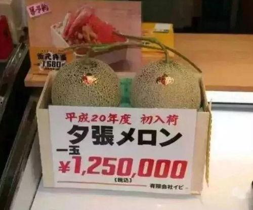 娱乐吃瓜作品有哪些,盘点热门娱乐八卦作品