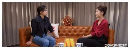 吃瓜大会娱乐圈检察组,吃瓜大会背后的真相揭秘