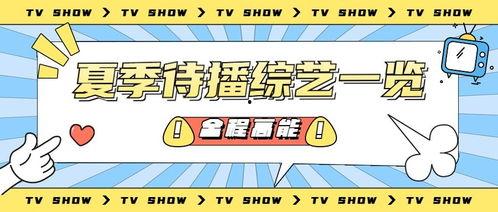 吃瓜营销号娱乐号怎么做,如何玩转娱乐号吸粉攻略