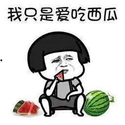 吃瓜娱乐ship,揭秘娱乐圈背后的故事与真相