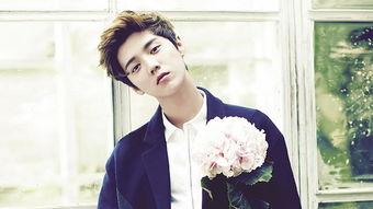 娱乐圈吃瓜猛料鹿晗小说,揭秘明星背后的秘密与激情