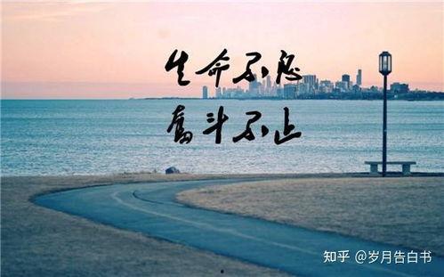 娱乐吃瓜酱厉志奋斗,娱乐吃瓜酱的逆袭之路